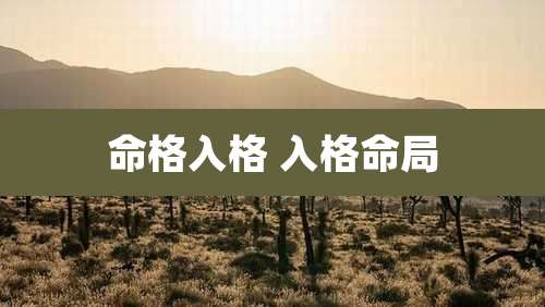 命格入格 入格命局