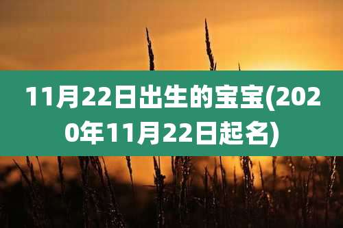 11月22日出生的宝宝(2020年11月22日起名)