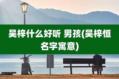 吴梓什么好听 男孩(吴梓恒名字寓意)