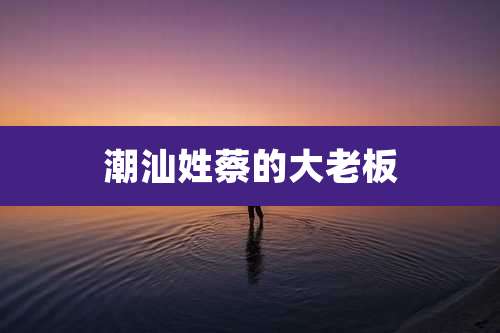 潮汕姓蔡的大老板