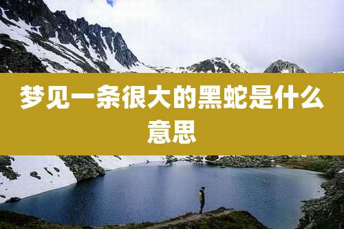 梦见一条很大的黑蛇是什么意思