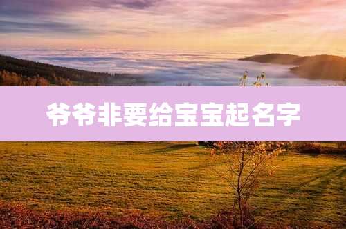 爷爷非要给宝宝起名字