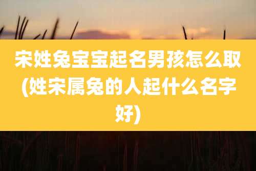 宋姓兔宝宝起名男孩怎么取(姓宋属兔的人起什么名字好)