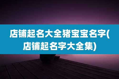 店铺起名大全猪宝宝名字(店铺起名字大全集)