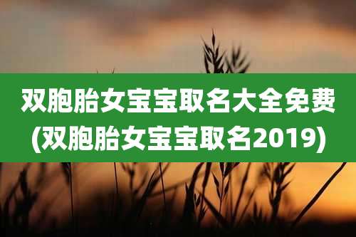 双胞胎女宝宝取名大全免费(双胞胎女宝宝取名2019)