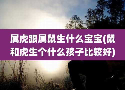 属虎跟属鼠生什么宝宝(鼠和虎生个什么孩子比较好)