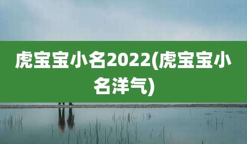 虎宝宝小名2022(虎宝宝小名洋气)