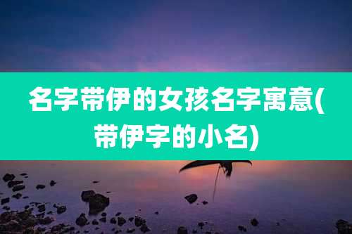 名字带伊的女孩名字寓意(带伊字的小名)