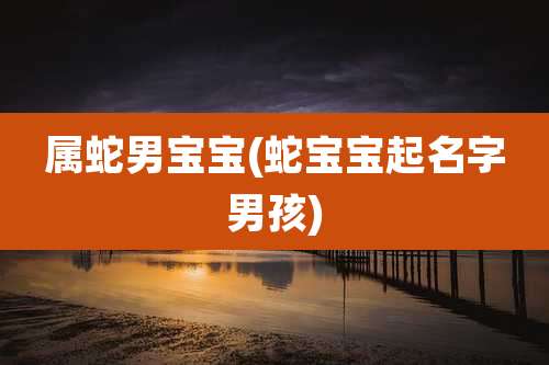 属蛇男宝宝(蛇宝宝起名字男孩)