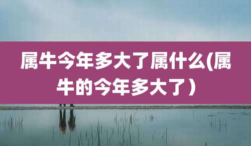 属牛今年多大了属什么(属牛的今年多大了）