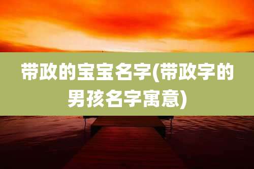 带政的宝宝名字(带政字的男孩名字寓意)