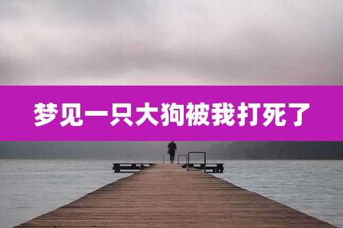 梦见一只大狗被我打死了