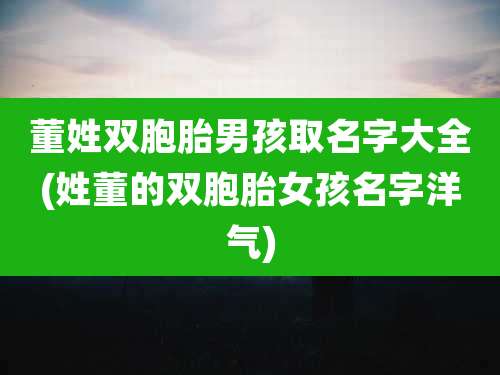 董姓双胞胎男孩取名字大全(姓董的双胞胎女孩名字洋气)