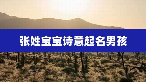 张姓宝宝诗意起名男孩