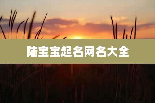 陆宝宝起名网名大全