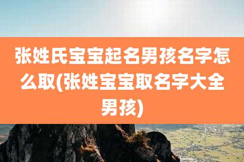 张姓氏宝宝起名男孩名字怎么取(张姓宝宝取名字大全男孩)