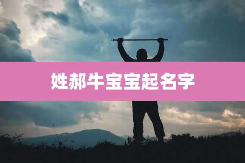 姓郝牛宝宝起名字