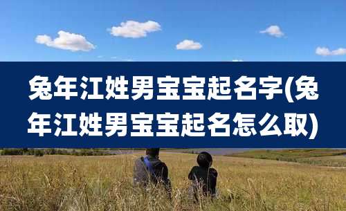 兔年江姓男宝宝起名字(兔年江姓男宝宝起名怎么取)