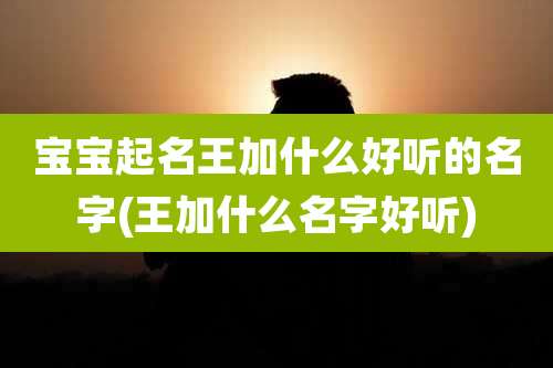 宝宝起名王加什么好听的名字(王加什么名字好听)