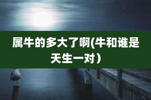 属牛的多大了啊(牛和谁是天生一对）