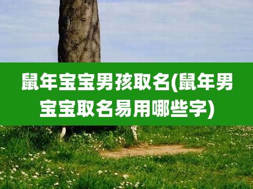 鼠年宝宝男孩取名(鼠年男宝宝取名易用哪些字)