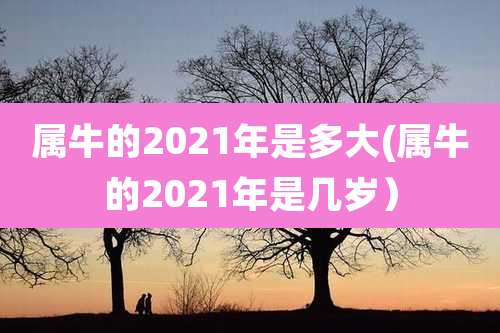 属牛的2021年是多大(属牛的2021年是几岁)