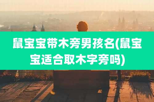 鼠宝宝带木旁男孩名(鼠宝宝适合取木字旁吗)