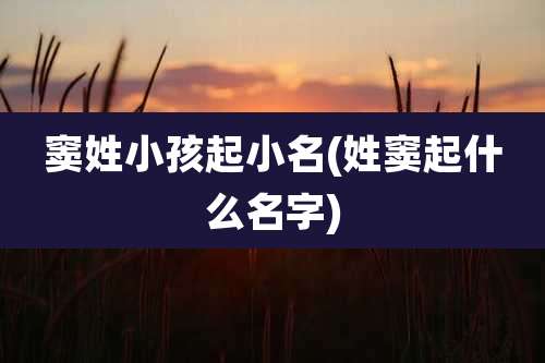 窦姓小孩起小名(姓窦起什么名字)