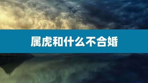属虎和什么不合婚