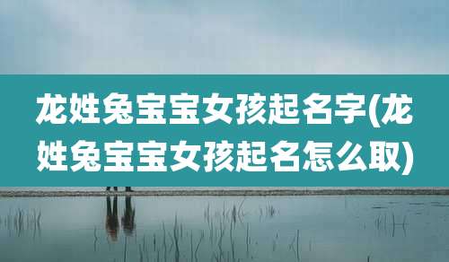 龙姓兔宝宝女孩起名字(龙姓兔宝宝女孩起名怎么取)