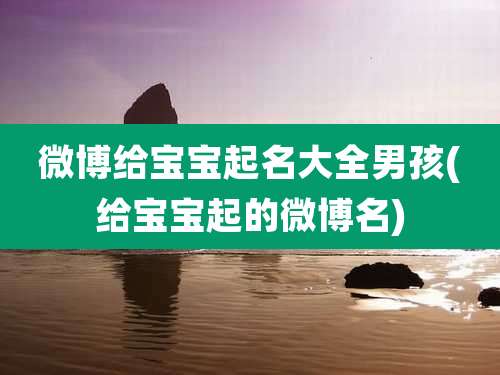 微博给宝宝起名大全男孩(给宝宝起的微博名)