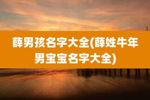 薛男孩名字大全(薛姓牛年男宝宝名字大全)