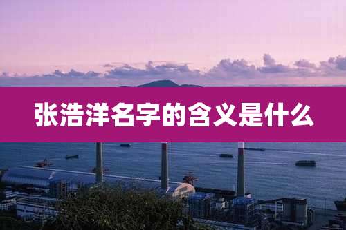 张浩洋名字的含义是什么