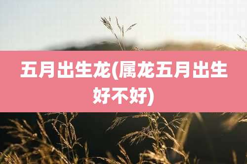 五月出生龙(属龙五月出生好不好)