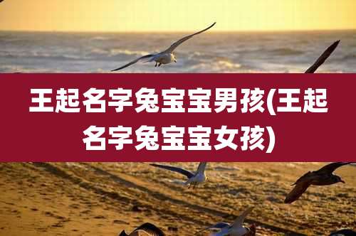 王起名字兔宝宝男孩(王起名字兔宝宝女孩)