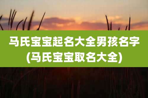 马氏宝宝起名大全男孩名字(马氏宝宝取名大全)