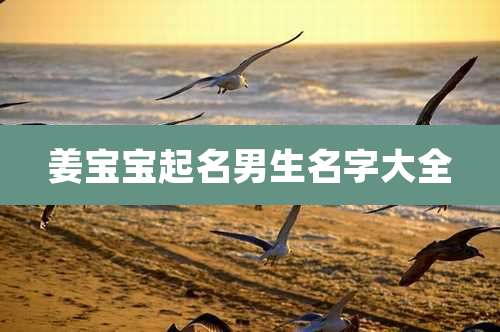 姜宝宝起名男生名字大全