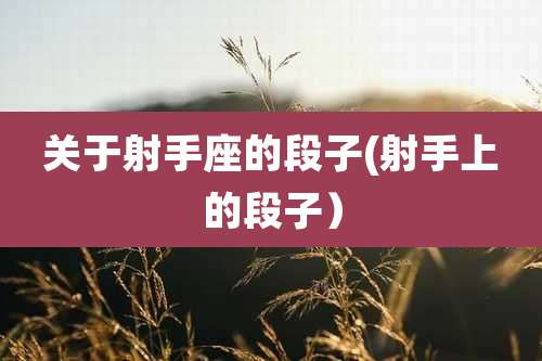 关于射手座的段子(射手上的段子)