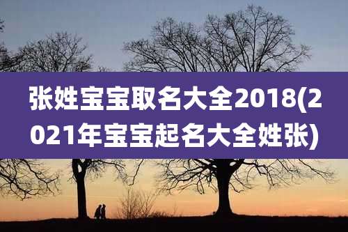 张姓宝宝取名大全2018(2021年宝宝起名大全姓张)