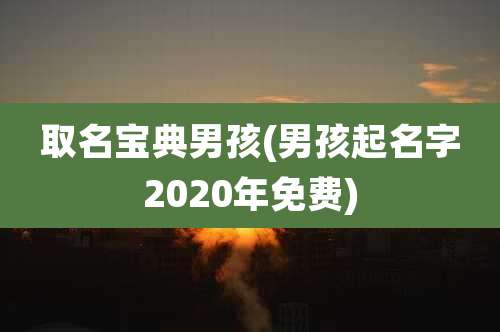 取名宝典男孩(男孩起名字2020年免费)