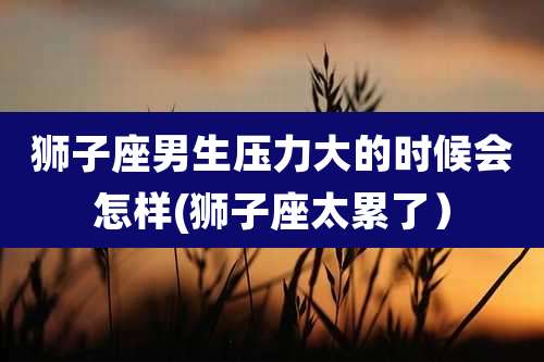 狮子座男生压力大的时候会怎样(狮子座太累了)