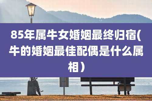 85年属牛女婚姻最终归宿(牛的婚姻最佳配偶是什么属相)