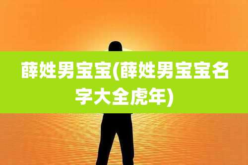 薛姓男宝宝(薛姓男宝宝名字大全虎年)