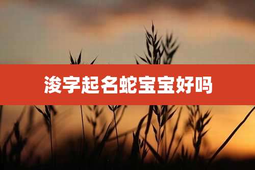浚字起名蛇宝宝好吗