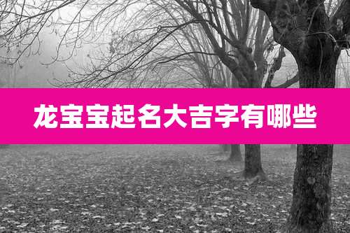 龙宝宝起名大吉字有哪些