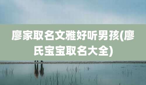 廖家取名文雅好听男孩(廖氏宝宝取名大全)