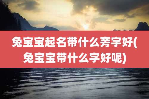 兔宝宝起名带什么旁字好(兔宝宝带什么字好呢)