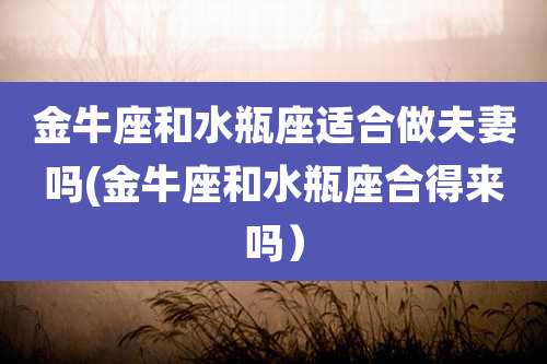金牛座和水瓶座适合做夫妻吗(金牛座和水瓶座合得来吗)