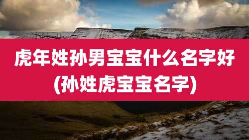 虎年姓孙男宝宝什么名字好(孙姓虎宝宝名字)