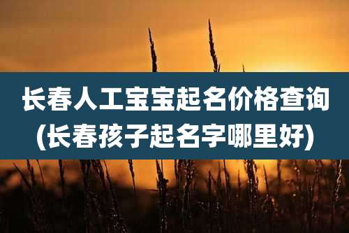 长春人工宝宝起名价格查询(长春孩子起名字哪里好)